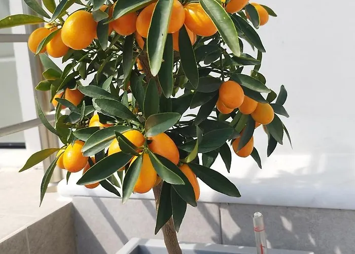 Sunny House Loutraki Is A Modern Loft Studio With Views Of The Bay And Mountains On The Top Floor With A Separate Entrance And Private Parking