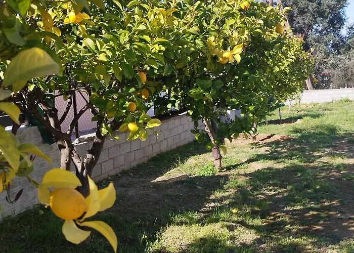 Sunny House Loutraki