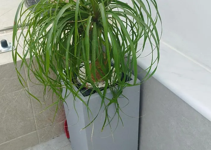 Apartman Sunny House Loutraki